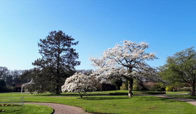 Tatton Park