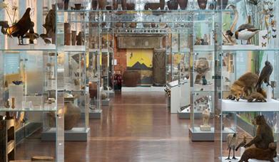 Bolton galleries